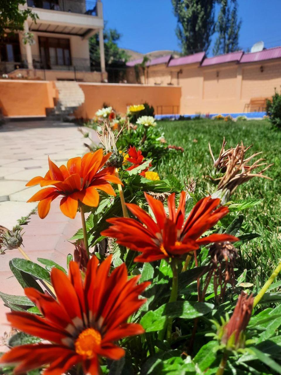Hotel Зона Отдых Apachi В Горах Чимган Esterno foto